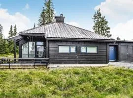 Stunning Home In Sjusjøen With Sauna