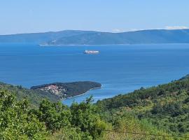 Casa Grande - Violette, Silver and Golden apartments with park and sea view, hotell sihtkohas Labin