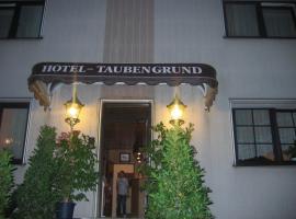 Airport-Hotel zum Taubengrund, ξενοδοχείο κοντά στο Αεροδρόμιο Φρανκφούρτης - FRA, Κέλστερμπαχ