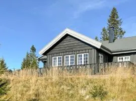 Stunning Home In Sjusjøen With Sauna