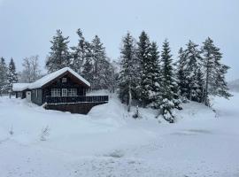 Holiday cottage with sauna close to Kjeragbolten, renta vacacional en Tjørhom