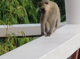 Bella Breeze1 - Diani Beach, Kenya