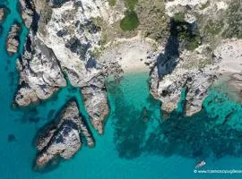 Villa Kore, Capo Vaticano