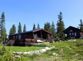 3 Bedroom Pet Friendly Home In Sjusjøen