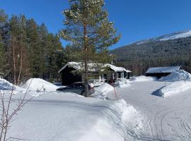 Nymon Mountain Lodge, hotell i Stöten