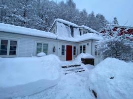 Villa Rjukan, hotell på Rjukan