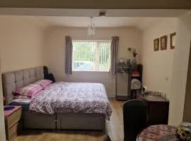 Studio Lickey Hills Near Attractions Garden PetOk