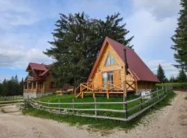 Aleksa’s chalet