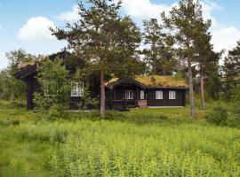 Gorgeous Home In Rauland With Sauna, hotel Raulandban