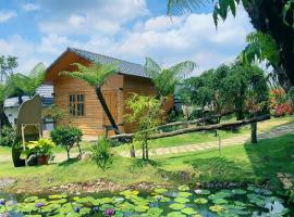 AN Homestay&coffee, hotel in Di Linh