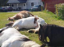 Øyfoss overnatting, kodumajutus sihtkohas Fyresdal