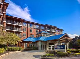 Hilton Garden Inn Gatlinburg, hotel in Gatlinburg