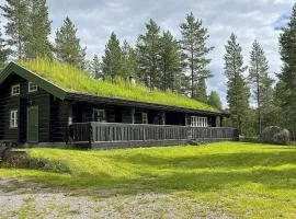 Holiday home Hemsedal III