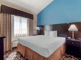 Best Western Plus Arlington North