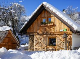 Hike & Bike Chalet, hotel u Bohinju