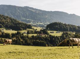 Hotel Gasthof Wälderhof, hotell sihtkohas Lingenau