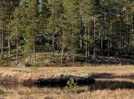 Velkommen til Finnskogen og minihytta Rimbila, къща тип котидж в Конгвингер