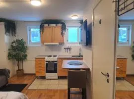 Studio apartment near metro and forest!