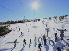 Nybygd funkishytte med badstue og jacuzzi, golf, slalom, hotell i Vrådal