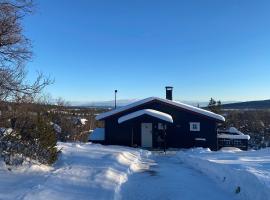 Cabin in the Mountain, Outstanding View & Solar Energy、Slidreのコテージ