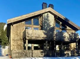 Modern ski-in out apartment at Sjusjøen