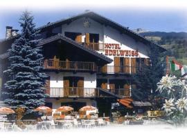 Hotel Edelweiss & SPA: Cesana Torinese şehrinde bir otel