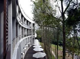 Sun Moon Lake Bamboo Rock Garden