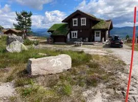 Vrådal Panorama