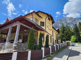 Casa Minerva, Hotel in Buşteni