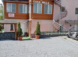 Casa Hermina, Hotel in Sovata