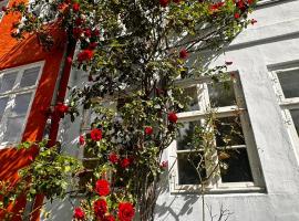 Beautiful Townhouse, hotel in Kopenhagen