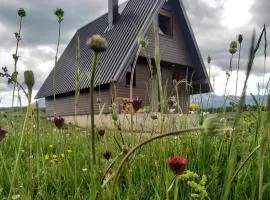 Brown cabin