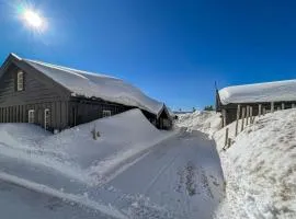 Amazing Home In Sjusjøen With Sauna