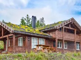 Cozy Home In Rjukan With Kitchen