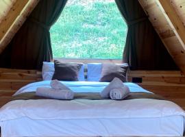 Aslan Suit Bungalov, lodge kohteessa Çamlıhemşin