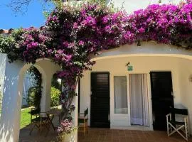 Apartment with garden and swimming and beach