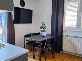 Apartment Vidak