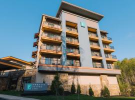 Embassy Suites By Hilton Gatlinburg Resort, hotelli kohteessa Gatlinburg