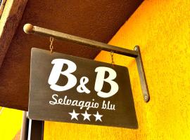 B&B Selvaggio Blu, отель в городе Баунеи