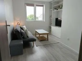 Appartement entier F3 rénové - Petite pause à Sélestat