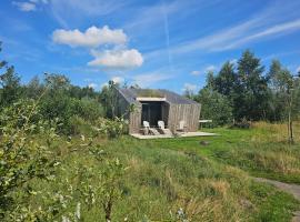 Tiny house De Wylp, hotell i Westergeest