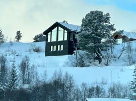 Hytta Haukelifjell Skisenter, lavprishotell i Vågsli