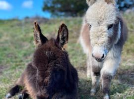 Mælstrøm End Eco Farmstay, αγροικία σε Puponga