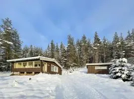 Awesome Home In Trysil With Wifi