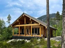 Nice Home In Vrådal With Sauna