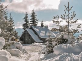 Charlton Estate, hotel i Yablunytsya