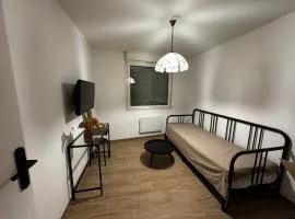 Le Sarsour Appartement Strasbourg Centre