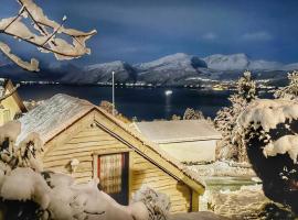 Cozy Cabin, cottage in Volda