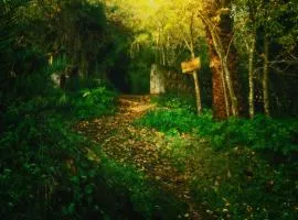 Centro de Naturaleza Cañada Verde "el Parque de Naturaleza con mas experiencias de Andalucía"