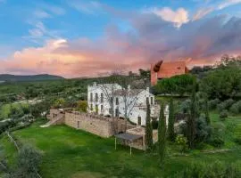 Cortijo LA Organic